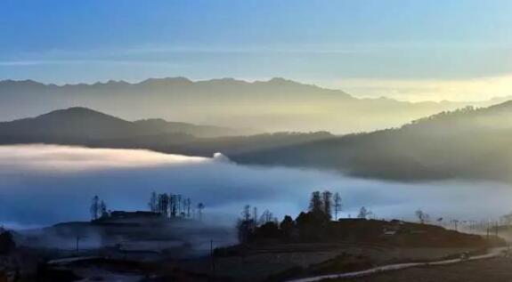 在最美的季節遇見你 雅居樂“上山下?！斌w驗行