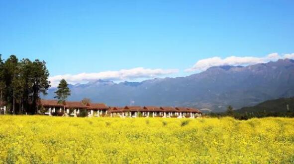 在最美的季節遇見你 雅居樂“上山下?！斌w驗行