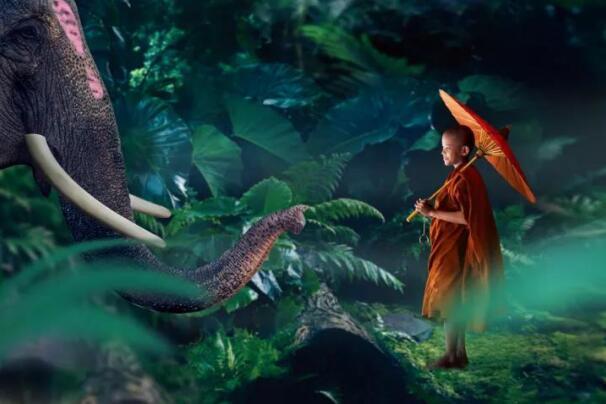 在最美的季節遇見你 雅居樂“上山下?！斌w驗行