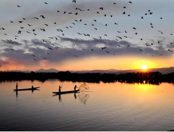 在最美的季節遇見你 雅居樂“上山下?！斌w驗行