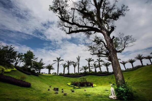 在最美的季節遇見你 雅居樂“上山下?！斌w驗行