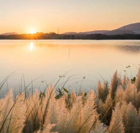 在最美的季節遇見你 雅居樂“上山下海”體驗行