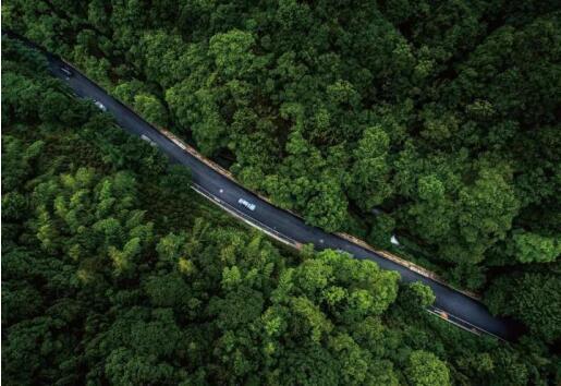 在最美的季節遇見你 雅居樂“上山下?！斌w驗行